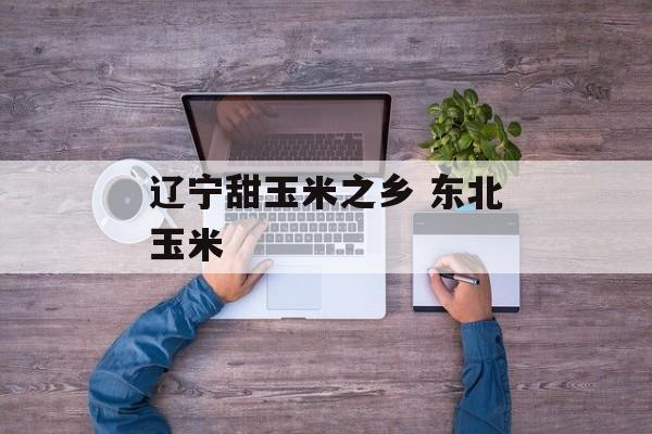 辽宁甜玉米之乡 东北玉米-第1张图片-