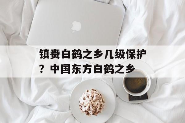 镇赉白鹤之乡几级保护？中国东方白鹤之乡-第1张图片-