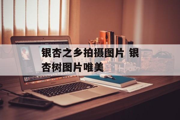 银杏之乡拍摄图片 银杏树图片唯美-第1张图片-