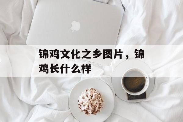 锦鸡文化之乡图片，锦鸡长什么样-第1张图片-