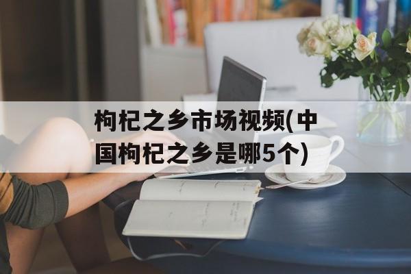 枸杞之乡市场视频(中国枸杞之乡是哪5个)-第1张图片-