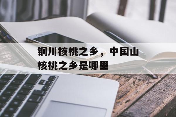 铜川核桃之乡，中国山核桃之乡是哪里-第1张图片-