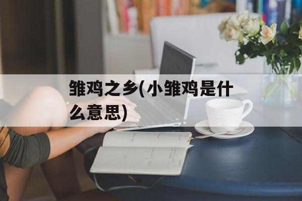 雏鸡之乡(小雏鸡是什么意思)-第1张图片-