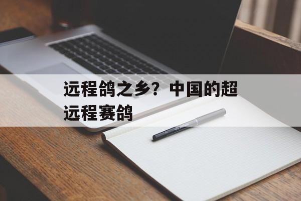 远程鸽之乡？中国的超远程赛鸽-第1张图片-