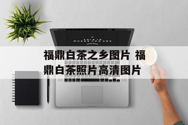 福鼎白茶之乡图片 福鼎白茶照片高清图片-第1张图片-