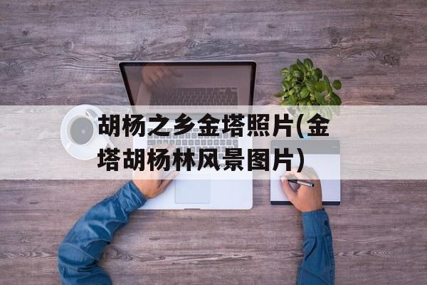 胡杨之乡金塔照片(金塔胡杨林风景图片)-第1张图片-