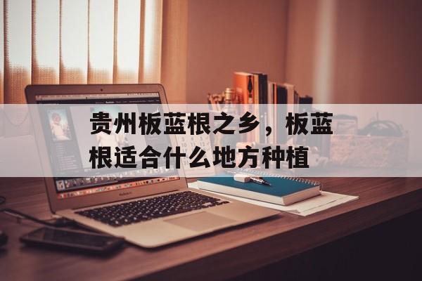贵州板蓝根之乡，板蓝根适合什么地方种植-第1张图片-