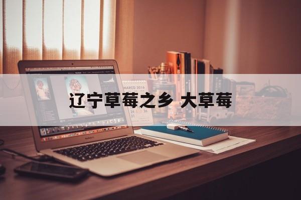 辽宁草莓之乡 大草莓-第1张图片-