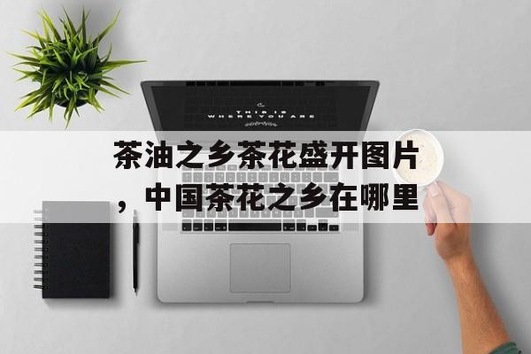 茶油之乡茶花盛开图片，中国茶花之乡在哪里-第1张图片-