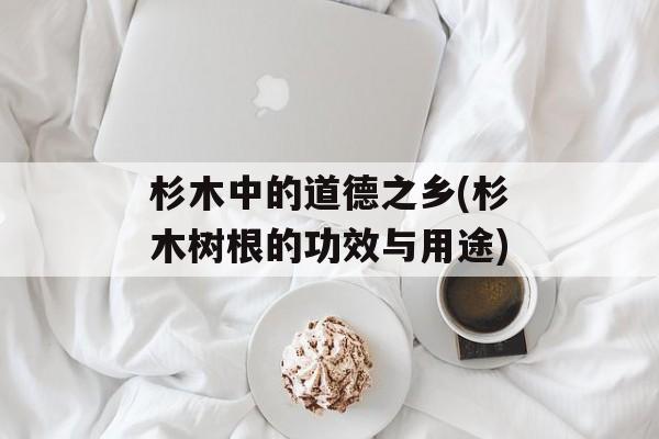 杉木中的道德之乡(杉木树根的功效与用途)-第1张图片-