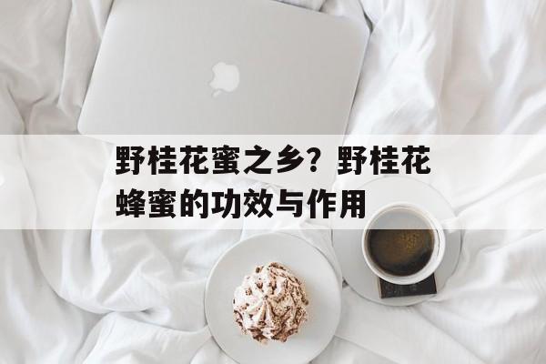 野桂花蜜之乡？野桂花蜂蜜的功效与作用-第1张图片-
