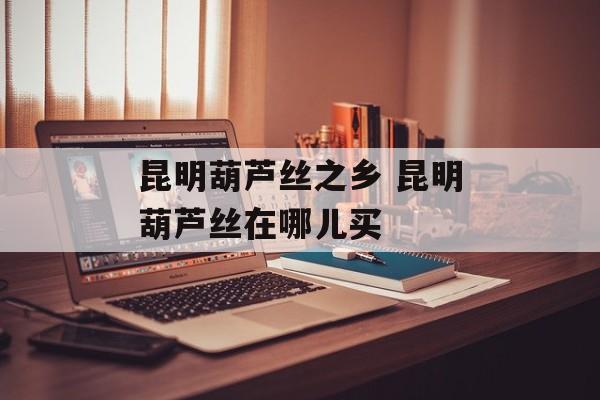 昆明葫芦丝之乡 昆明葫芦丝在哪儿买-第1张图片-