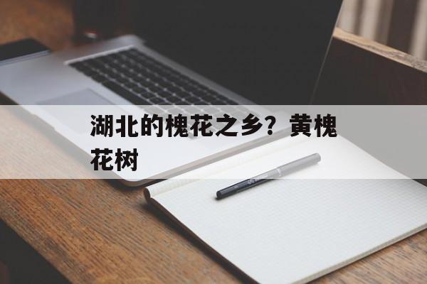 湖北的槐花之乡？黄槐花树-第1张图片-