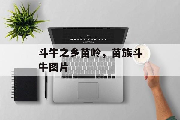 斗牛之乡苗岭，苗族斗牛图片-第1张图片-