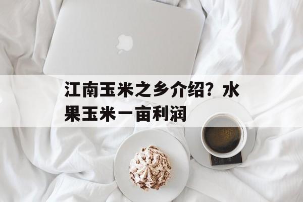 江南玉米之乡介绍？水果玉米一亩利润-第1张图片-