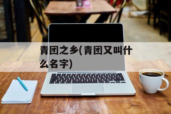 青团之乡(青团又叫什么名字)-第1张图片-