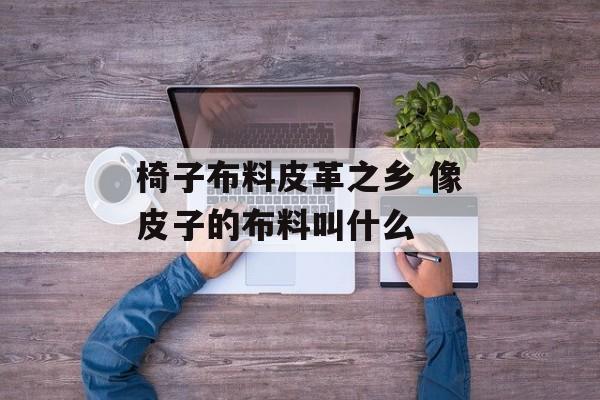 椅子布料皮革之乡 像皮子的布料叫什么-第1张图片-