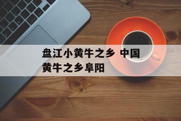 盘江小黄牛之乡 中国黄牛之乡阜阳-第1张图片-