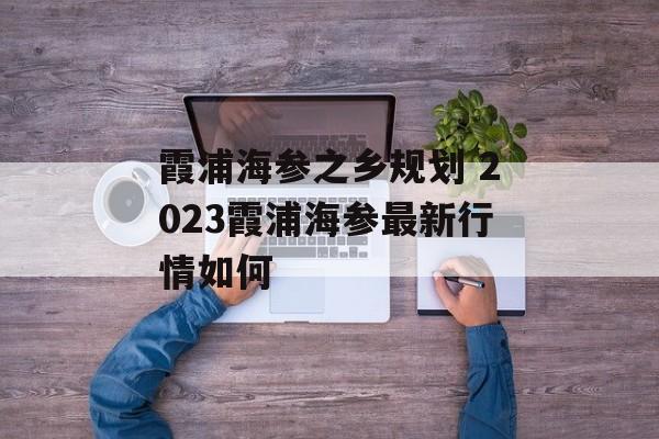 霞浦海参之乡规划 2023霞浦海参最新行情如何-第1张图片-